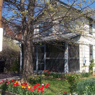 A white house behind a tree